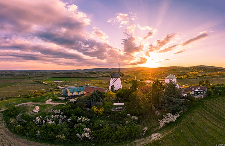 Ein Sonnenuntergang über Weinbergen.